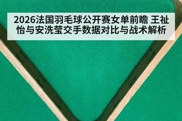 2026法国羽毛球公开赛女单前瞻 王祉怡与安洗莹交手数据对比与战术解析